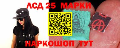 крисы Бийск