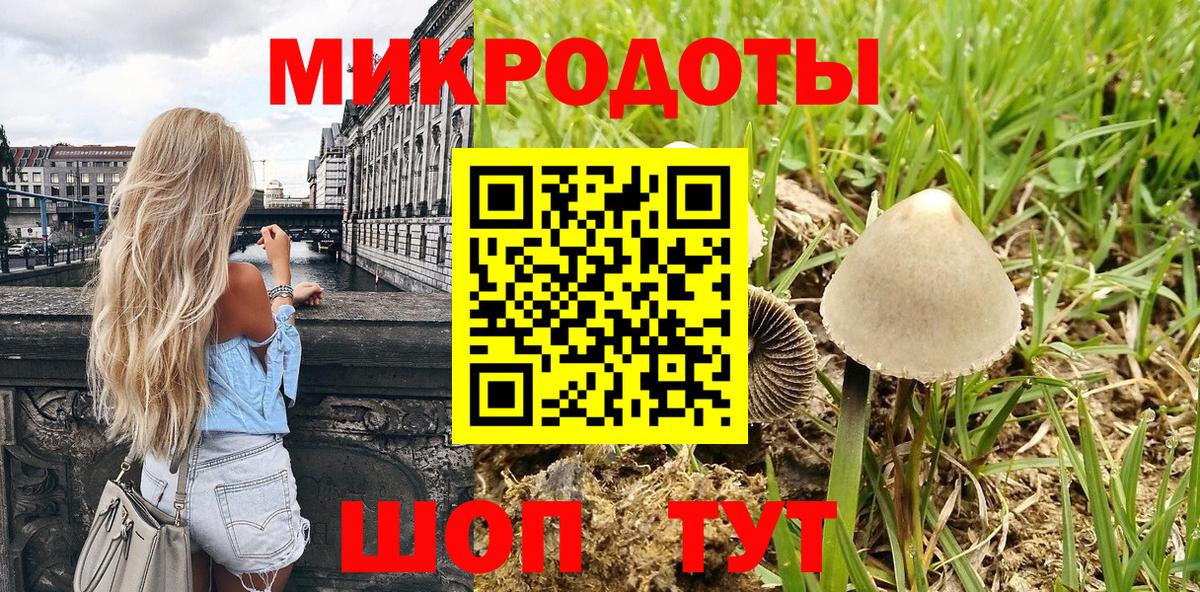 Галлюциногенные грибы ЛСД Кимовск