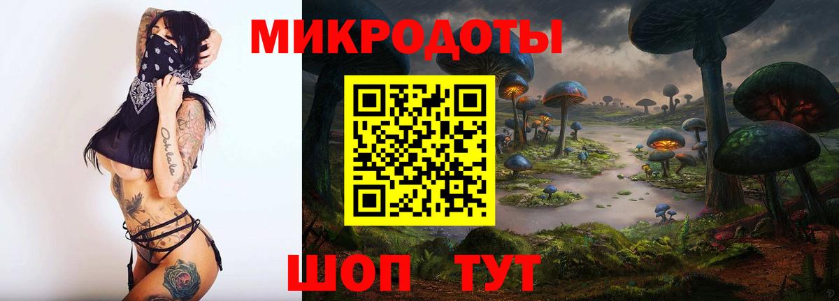 Псилоцибиновые грибы Cubensis  Вход с VPN  Кимовск 